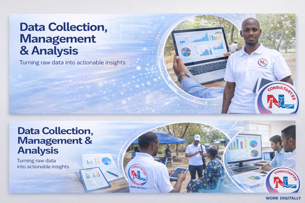 Data Collection & Analysis Services in Tanzania | Quantitative & Qualitative Research Experts – NL Consultants